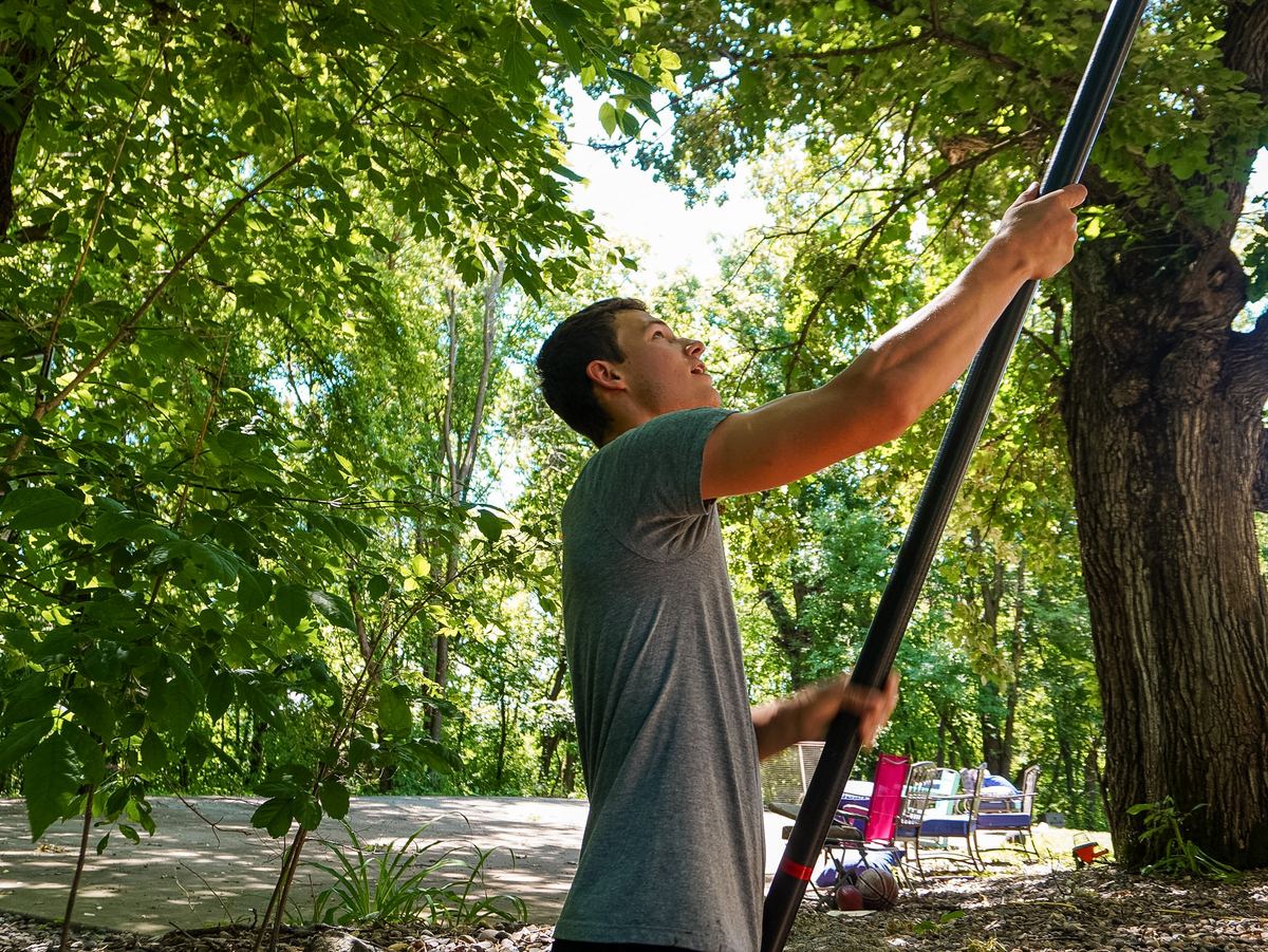 Technician raising a water-fed pole to clean windows beneath a mature shade tree