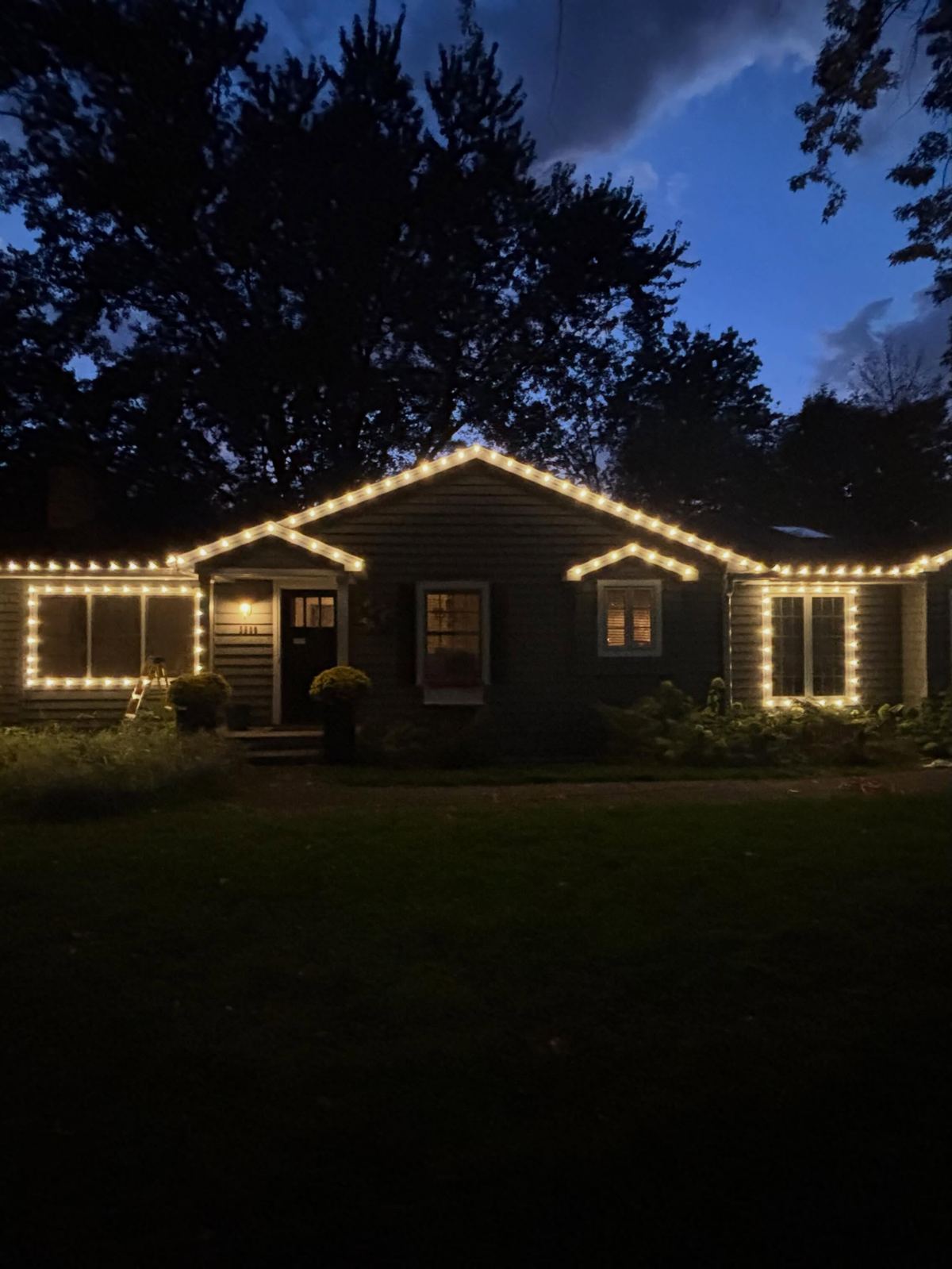 Just a little Christmas lights reminder 🎄✨